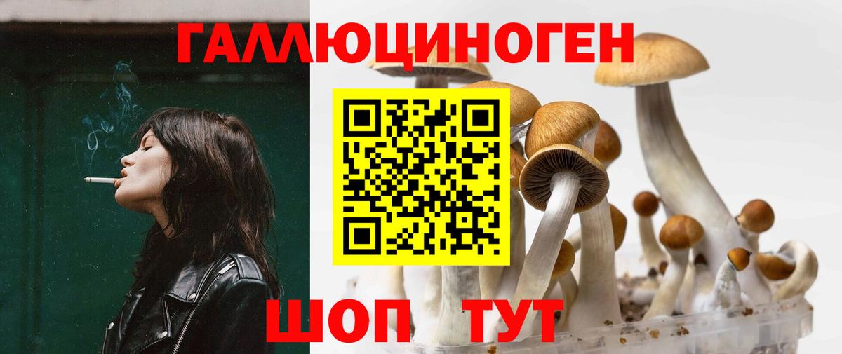Галлюциногенные грибы MAGIC MUSHROOMS Рассказово